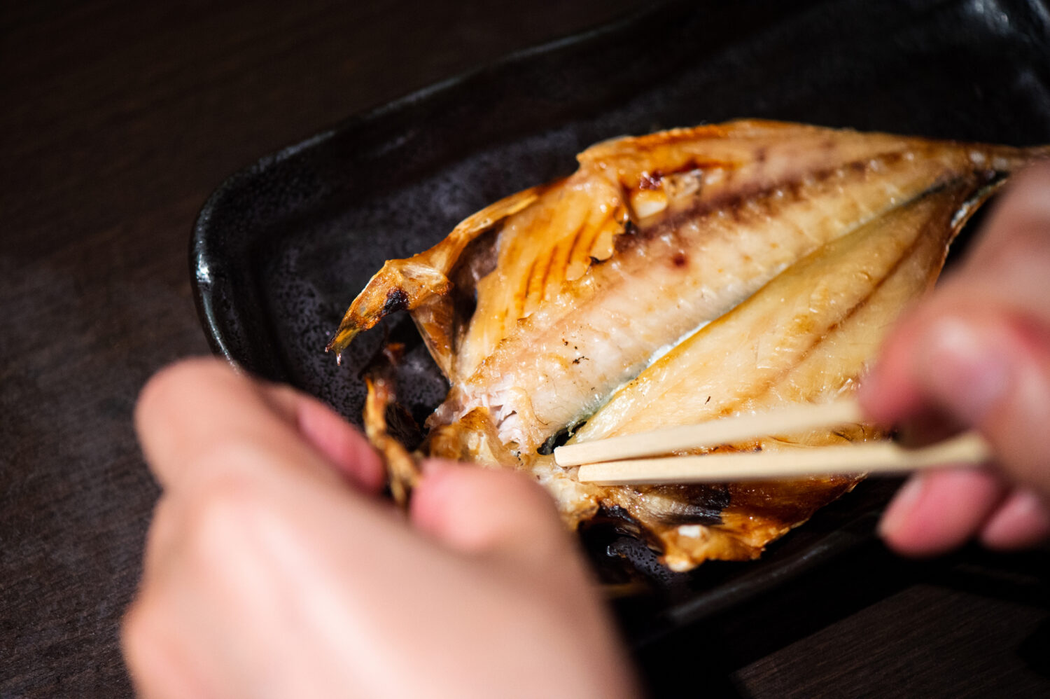 Roasted Fish　焼き魚　yakizakana