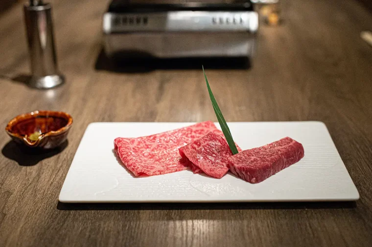 How to eat Wagyu beef yakiniku | Pair the choicest cuts of domestic A5 black wagyu with sake!