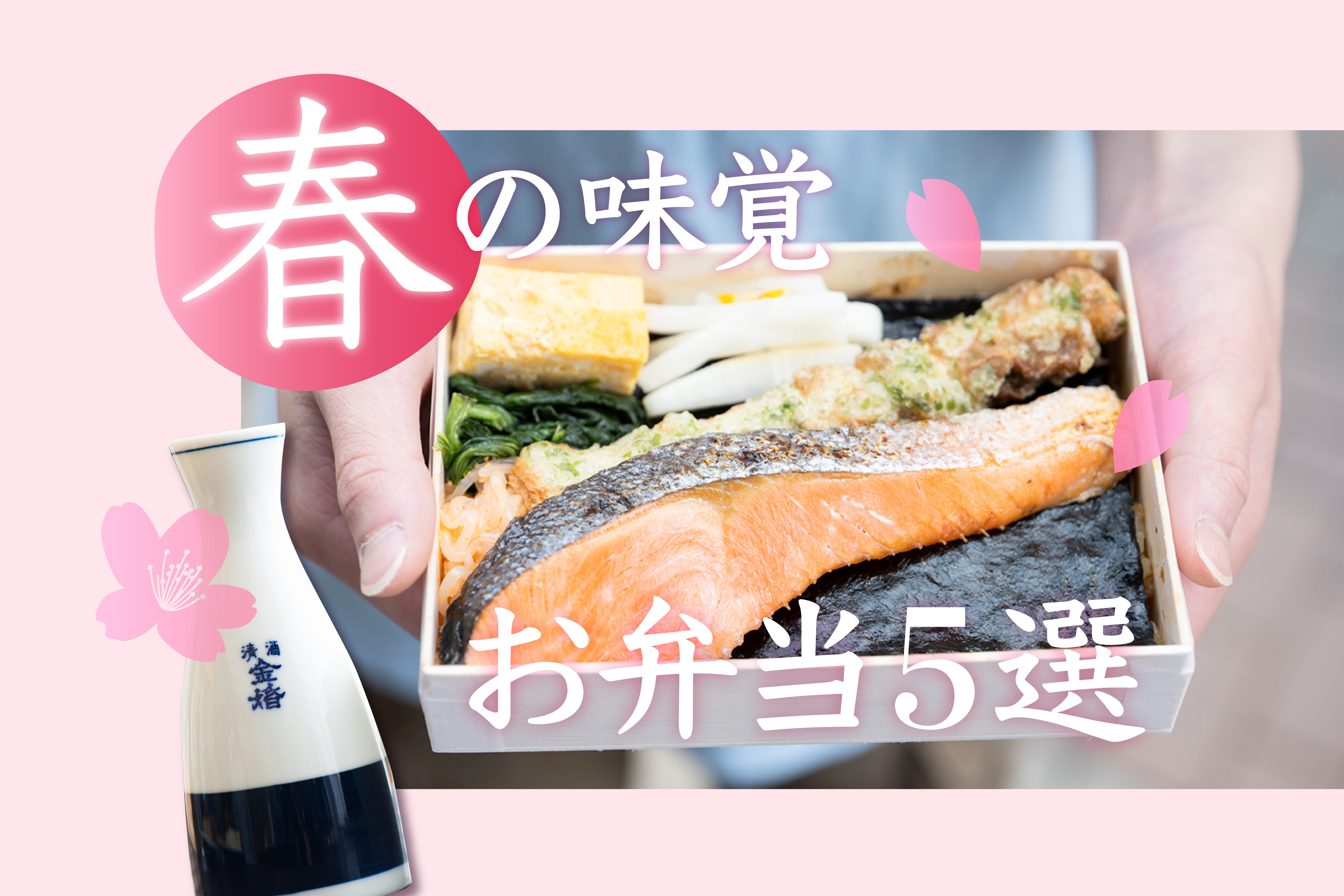 春日賞櫻必備！人氣便當＆日本酒啤酒搭配指南｜燒賣便當・海苔便當・章魚壺飯全攻略