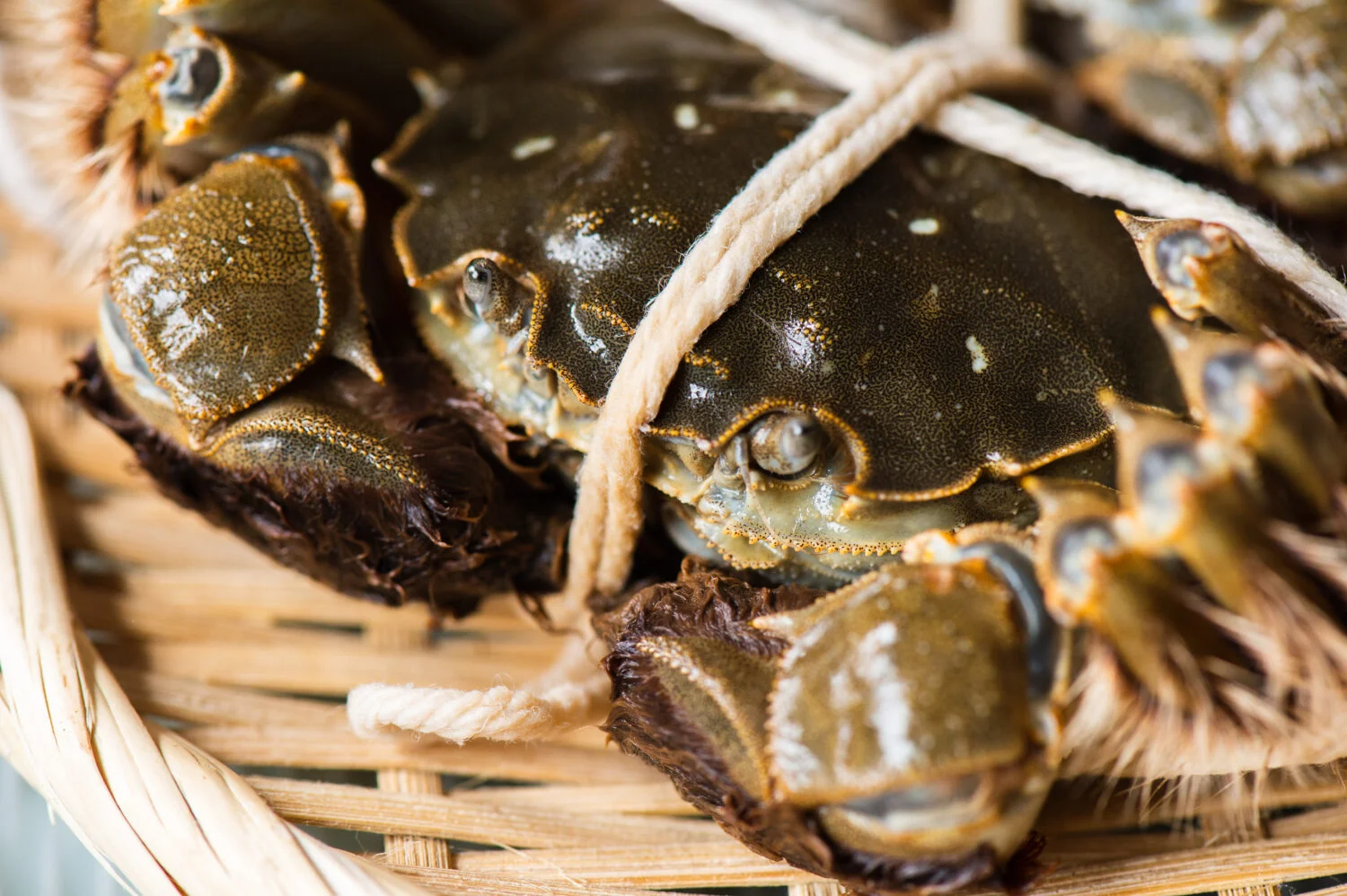 上海蟹の食べ方 カニミソを温かいうちに堪能するのがポイント Goodie Foodie